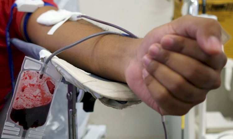 Triagem de sangue em hemocentros terá teste de malária