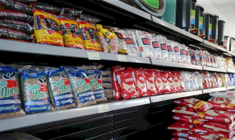 Cesta básica nacional terá 15 alimentos com imposto zerado